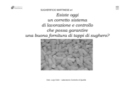 Intervento Ciotti