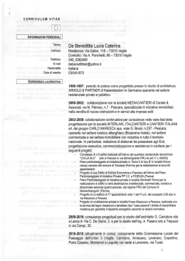 curriculum vitae