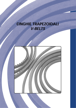 CINGHIE TRAPEZOIDALI