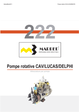 Pompe rotative CAV/LUCAS/DELPHI