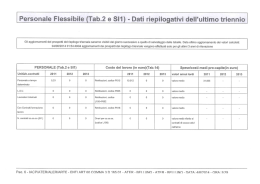 Il Conto Annuale 2013: personale non a tempo