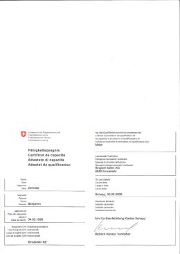 Fähigkeitsausweis - Malermeister Zehnder