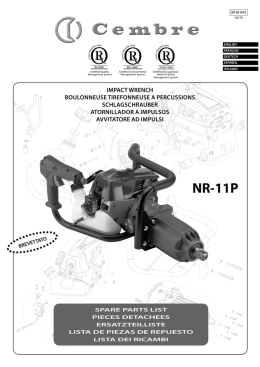 NR-11P - Cembre