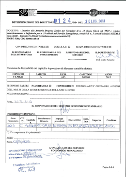 DD124.DD-2013 Incarico alla Armeria Dragone Enrico