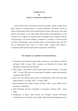 Occhiocupo Nicola - Associazione Italiana dei Costituzionalisti