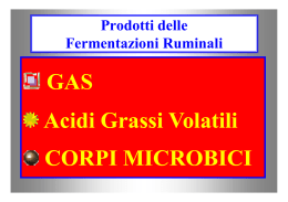 GAS Acidi Grassi Volatili CORPI MICROBICI MICROBICI