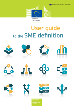 SME Definition - user guide 2015