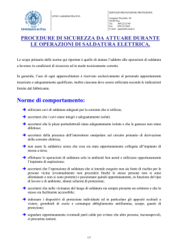 versione Pdf