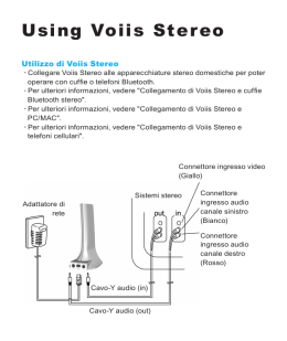 Using Voiis Stereo