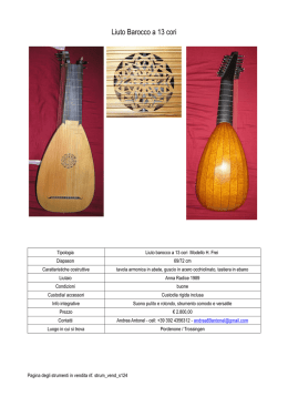 Liuto Barocco a 13 cori