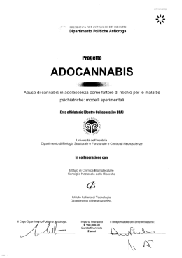 Universit&agrave; dell`Insubria - La Presidenza del Consiglio dei Ministri