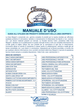 MANUALE D`USO - Aemme Colori