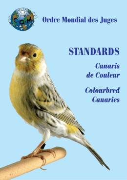 dei canarini di colore