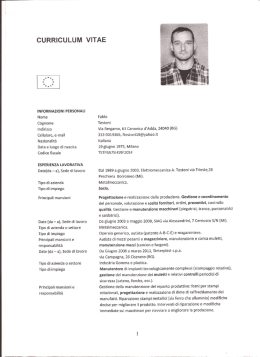 curriculum vitae - Ordine degli Ingegneri della Provincia di Bergamo
