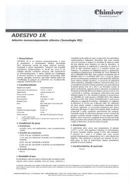 Manuale Adesiver 1K