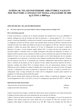 SCHEDA 48: TELAIO POSTERIORE ABBATTIBILE SALDATO PER