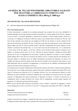 SCHEDA 58: TELAIO POSTERIORE ABBATTIBILE