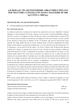 SCHEDA 69: TELAIO POSTERIORE ABBATTIBILE