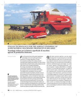 ITALIAN TECHNOLOGY FOR THE SURFACE FINISHING OF