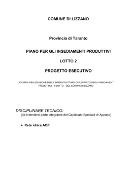 CSA Rete idrica - Comune di Lizzano