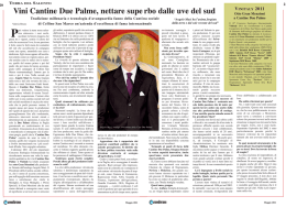 Vini Cantine Due Palme, nettare supe rbo dalle uve del sud