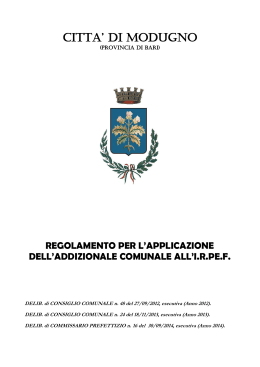 Regolamento Addiz. IRPEF 2014