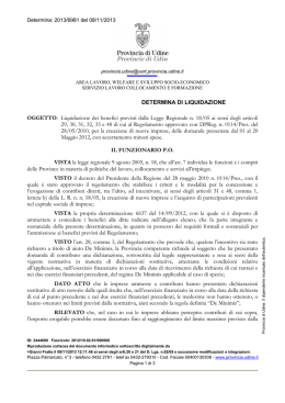 det. 6981 - Provincia di Udine