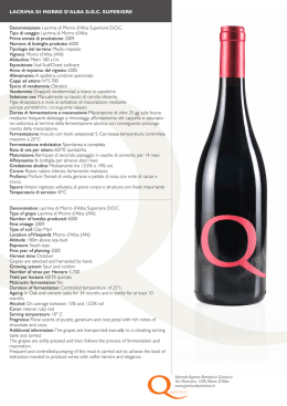 lacrima di morro d`alba doc superiore