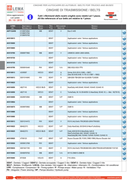 CINGHIE DI TRASMISSIONE / BELTS