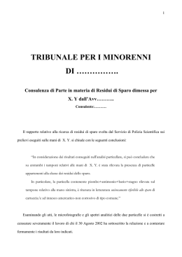 Testo della perizia in formato pdf