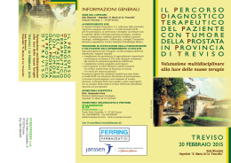 TREVISO - Everywhere