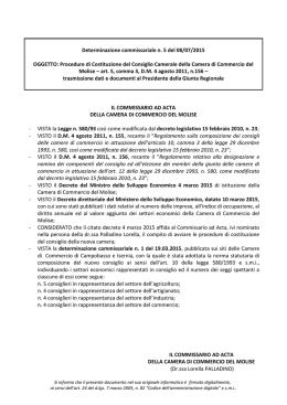 IL COMMISSARIO AD ACTA DELLA CAMERA DI COMMERCIO