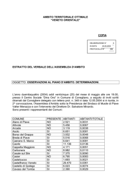 n. 6/2004 - Piano d`Abito dell`AATO VO