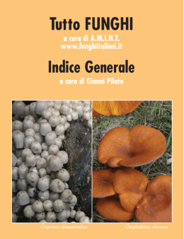 indice in formato pdf