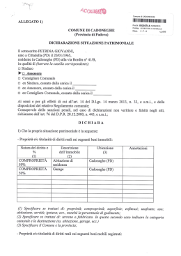 Situazione patrimoniale
