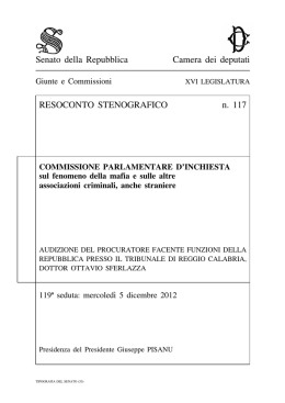 Stenografico n. 117 - Parlamento Italiano