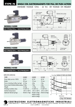 TYPE N - Costruzioni Elettromagnetiche Industriali