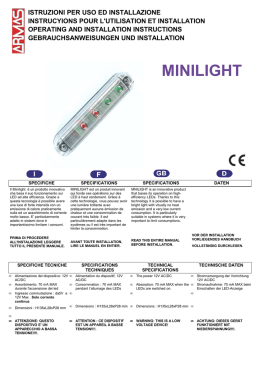 MINILIGHT
