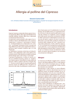 Allergia al polline del Cipresso
