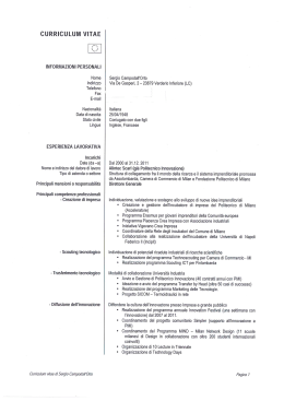 curriculum vitae - Politecnico di Milano