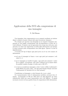 Applicazione della SVD alla compressione di una immagine