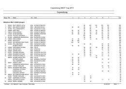 Page 1 Cupwertung BEST Cup 2011 Cupwertung Rang PNr Name