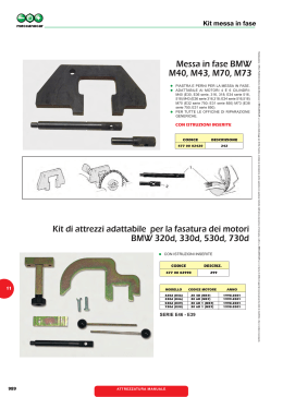 Kit di attrezzi adattabile per la fasatura dei motori BMW 320d, 330d