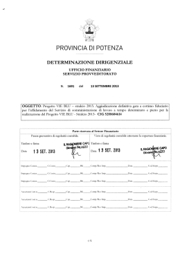 Determinazione Dirigenziale N° 1691 del 13