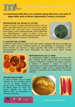 la tintura naturale delle fibre