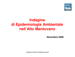 Indagine di Epidemiologia Ambientale nell`Alto Mantovano