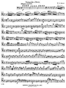 Violoncello e Basso. Allegro con brio.