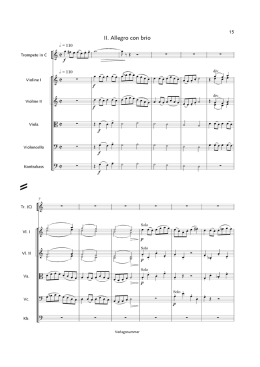 Il. Allegro con brio