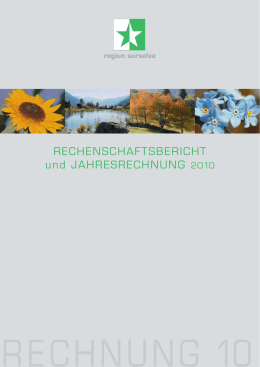 Jahresbericht 2010