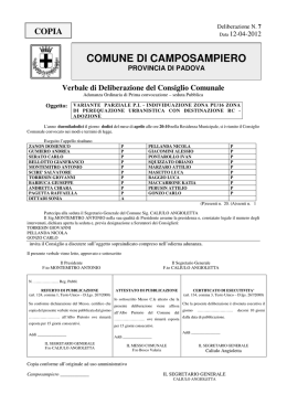 Verbale di Deliberazione del Consiglio Comunale